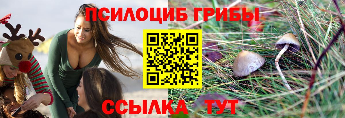 Шелехов  Псилоцибиновые грибы GOLDEN TEACHER  Галлюциногенные грибы мицелий  Вход с VPN 