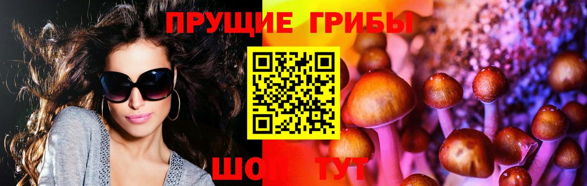 Галлюциногенные грибы ЛСД Шелехов